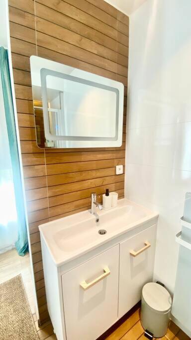 Appartement Avec Vue Jardin Proche De Paris 圣莫里斯 外观 照片